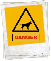 dog dangers