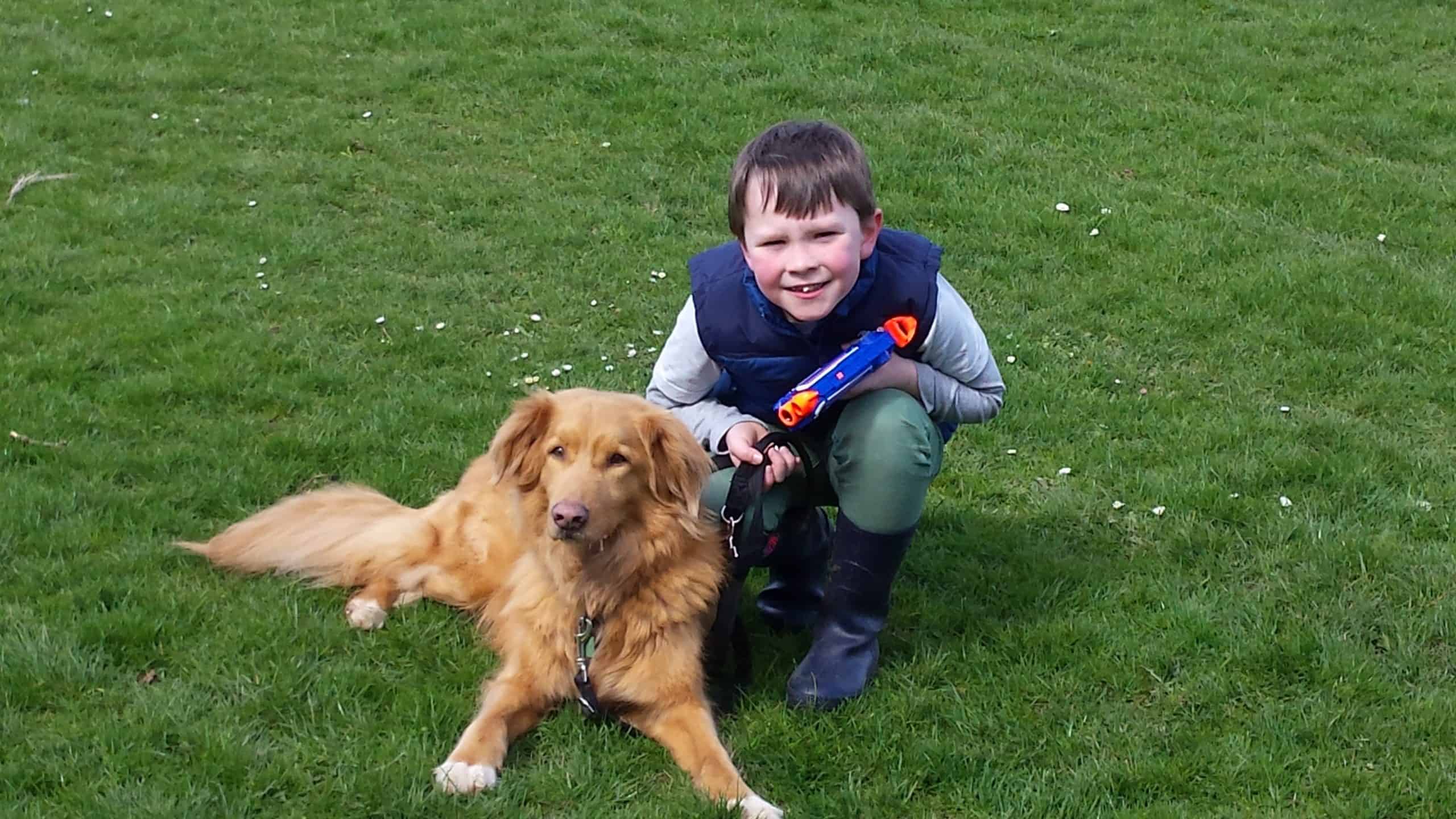 Golden Retriever lying down with a child